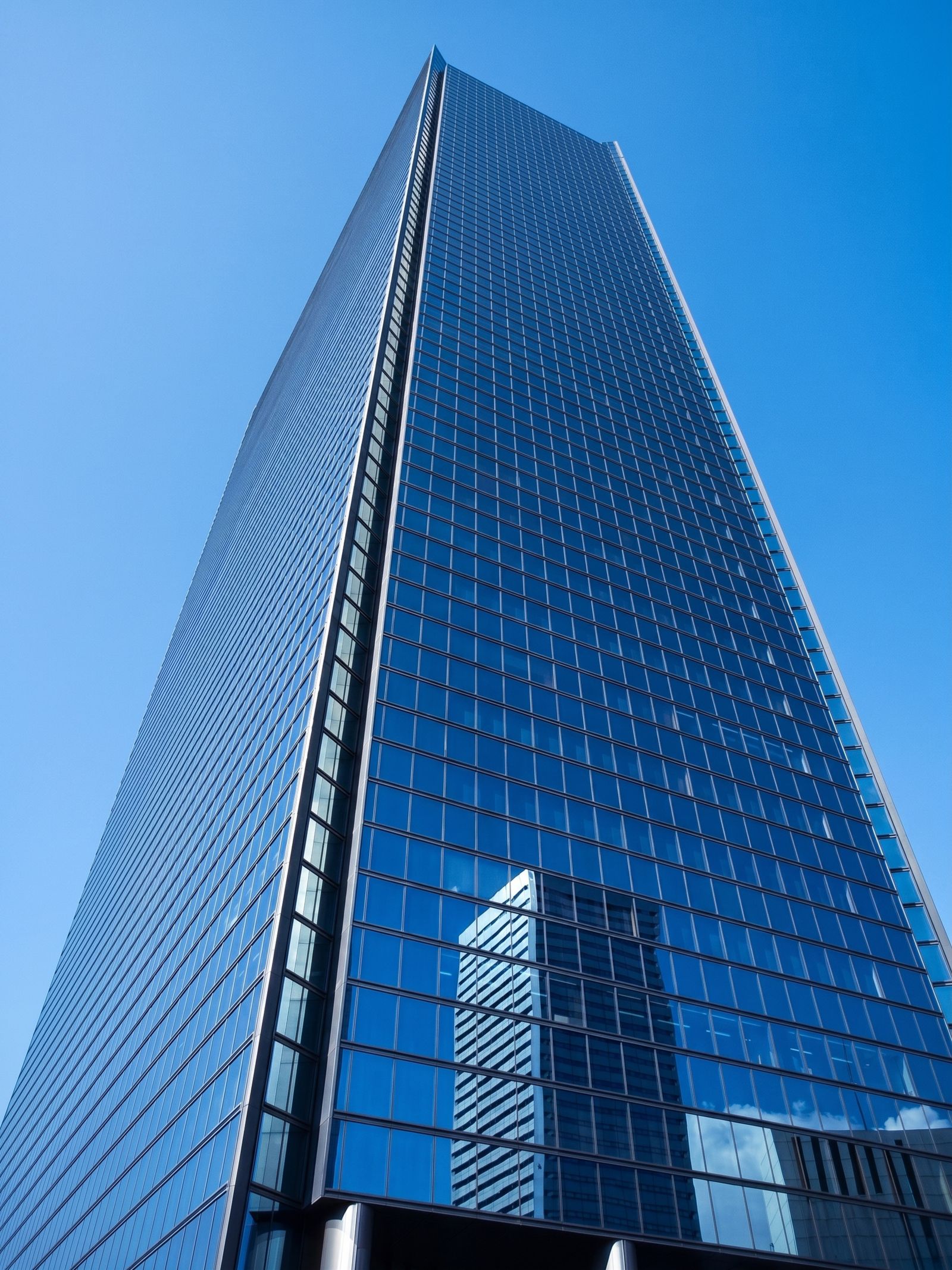 Company Profile
